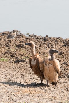 IMG_6192