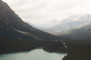 IMG_0334