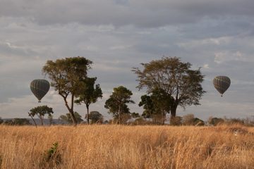 P-IMG_7012-2