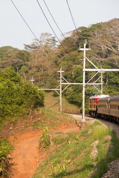 IMG_5175