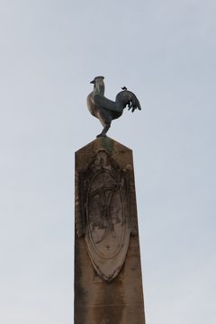 IMG_5277