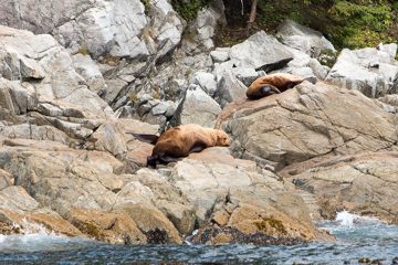IMG_0728
