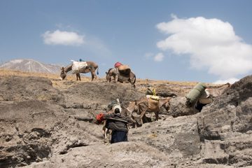 IMG_6777