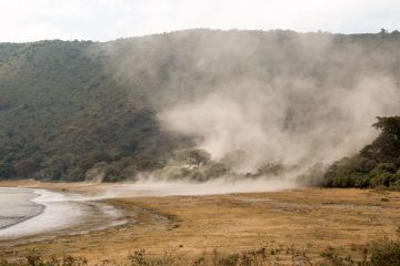 IMG_6562