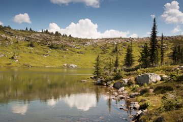 IMG_9948