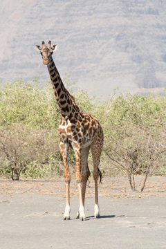 IMG_6957