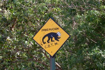 24022012-264.jpg