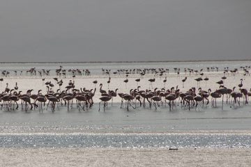 IMG_6933