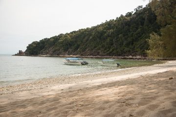 IMG_9551