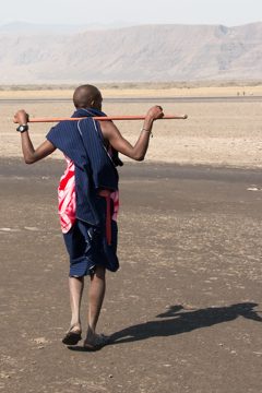 IMG_6950