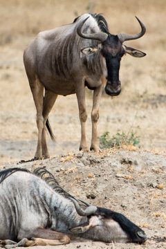 IMG_5948