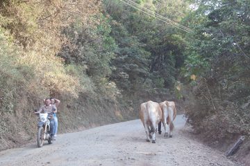 24022012-3.jpg