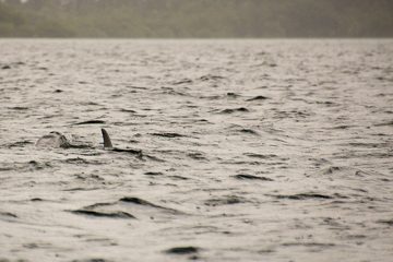 IMG_5423