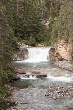 IMG_0559