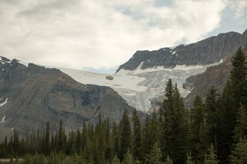 IMG_0381