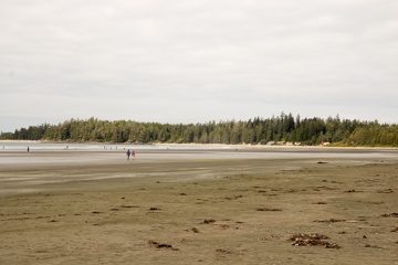 IMG_0659