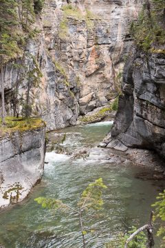 IMG_0004