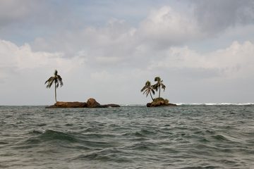 IMG_5509