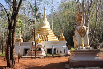 IMG_0480.jpg