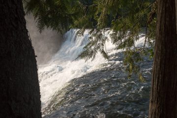 IMG_9967