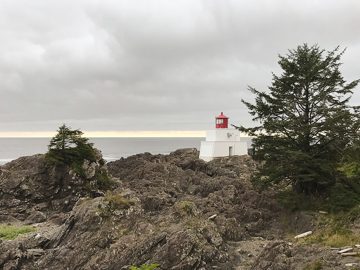 IMG_3349