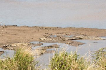 IMG_7607