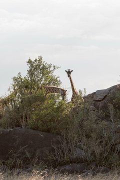 IMG_7264