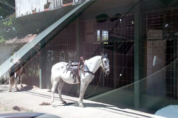26022012-114.jpg