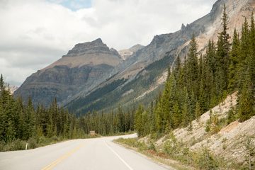 IMG_0295