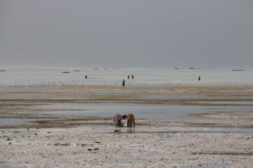 IMG_7877