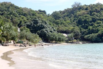 IMG_0806.jpg