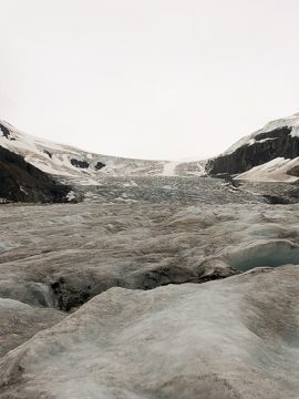 IMG_1270