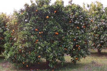 100_2156.jpg