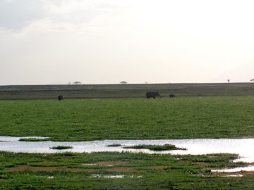 100_1219.jpg