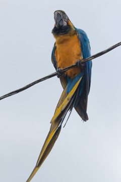 22022012-23.jpg