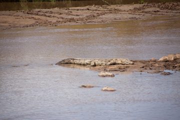 P-IMG_6750-2